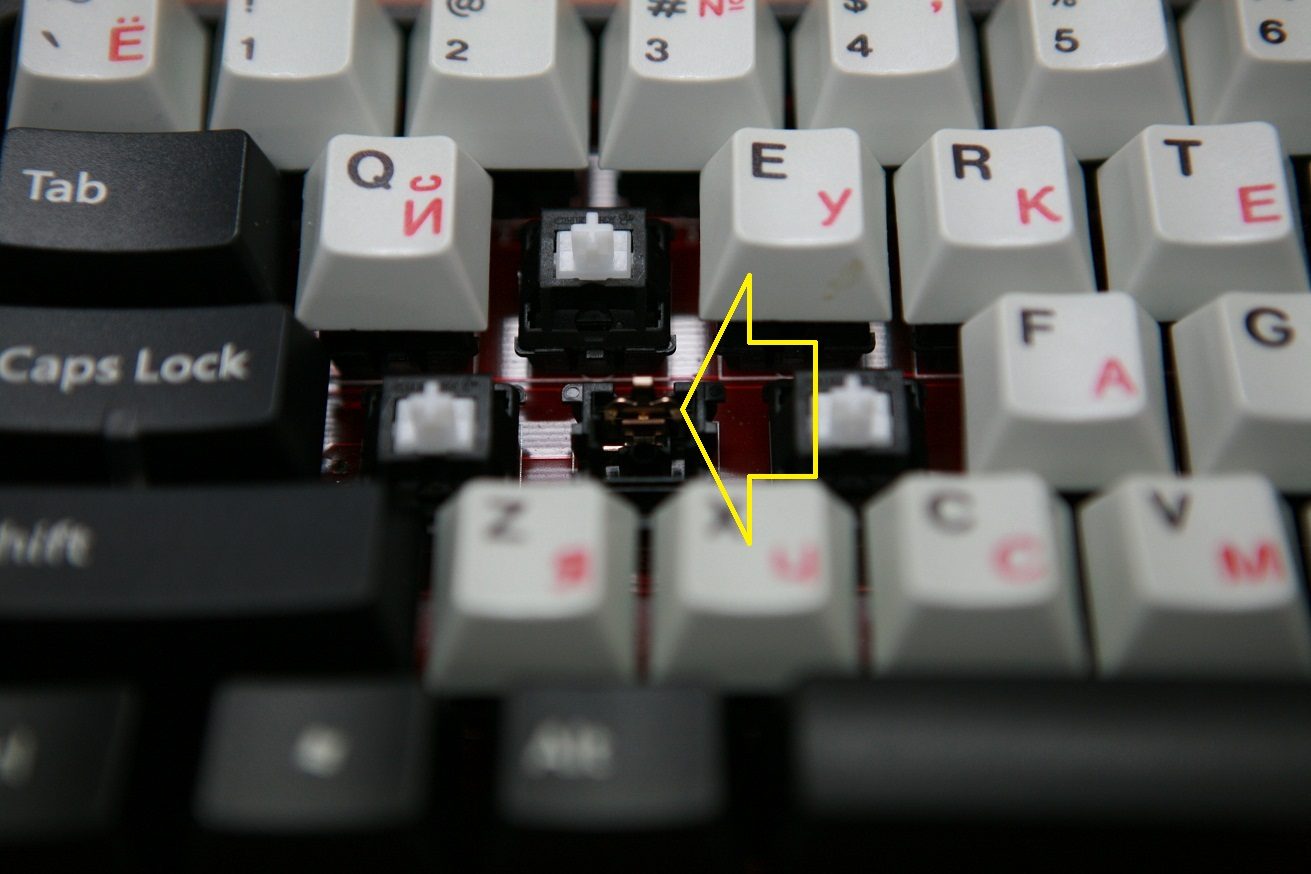 SWW1.JPG