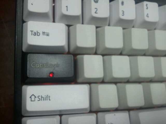 2010-12-20_16.51.09.jpg