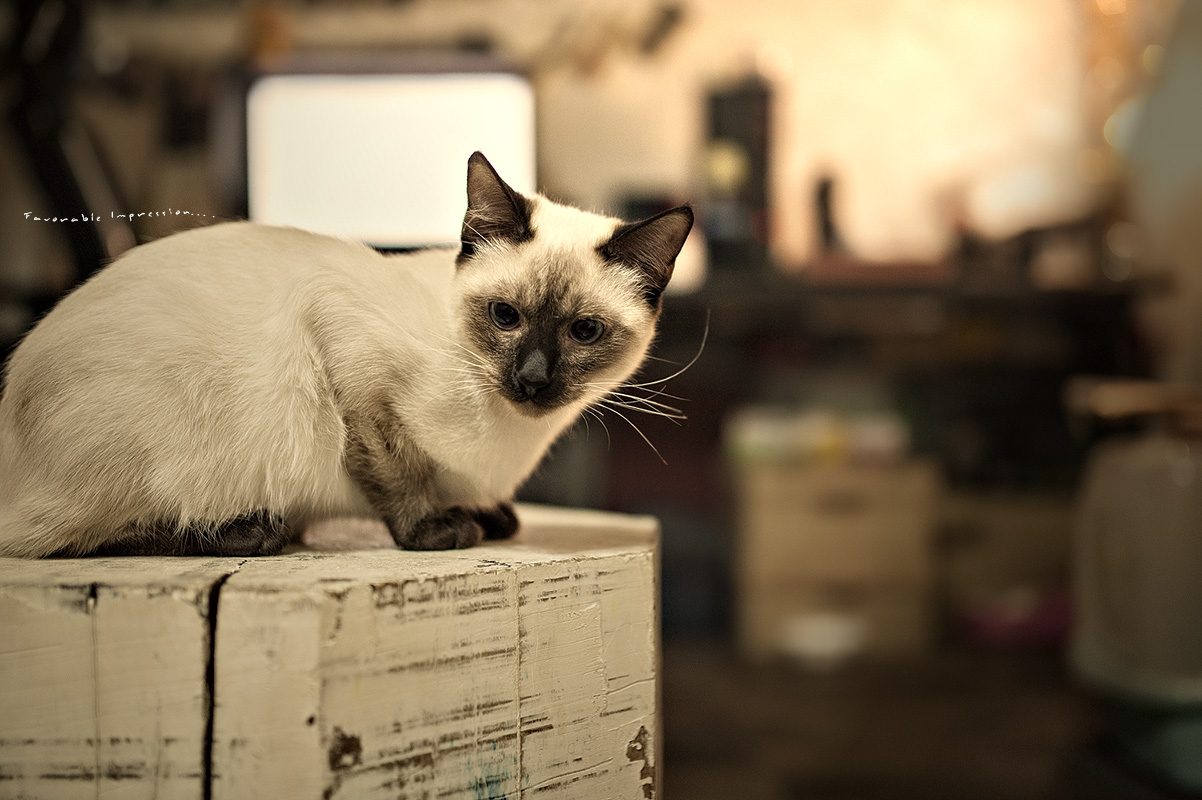 DSC_5711.jpg