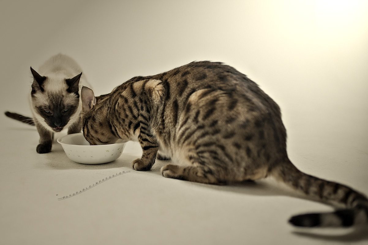 DSC_5661.jpg