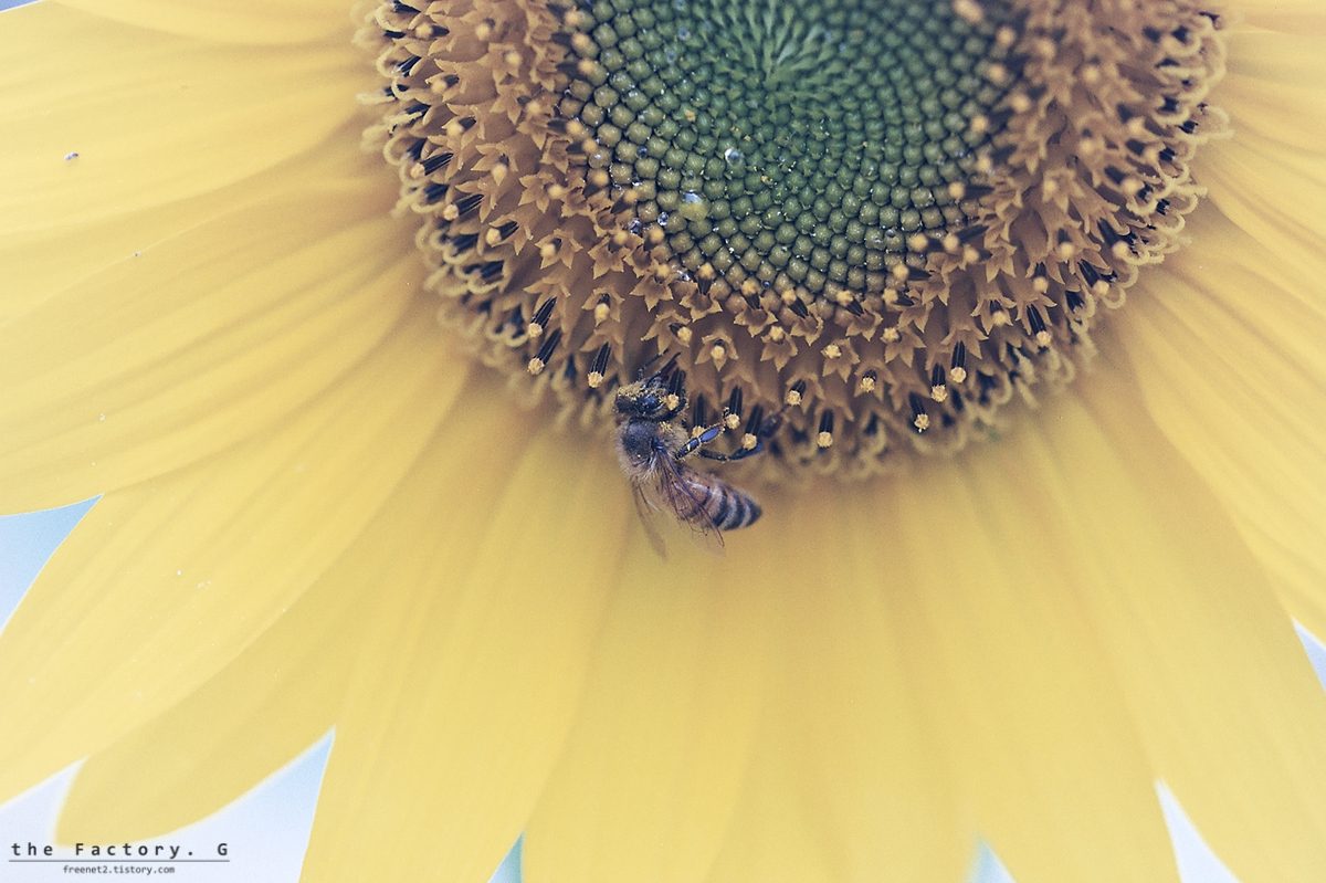 AA022.jpg
