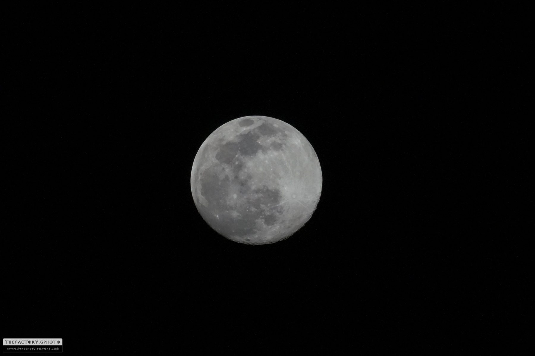 DSC04334.jpg