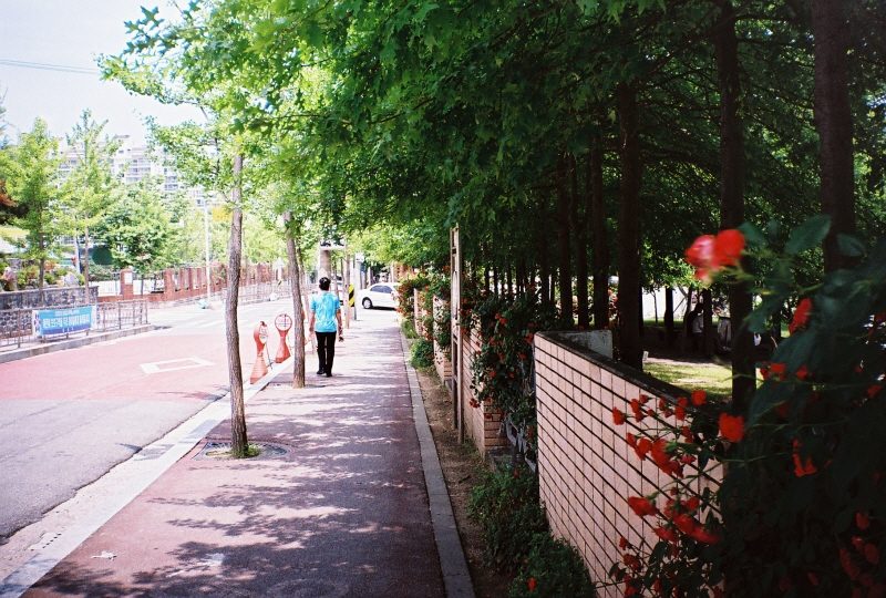 mod_000010.JPG