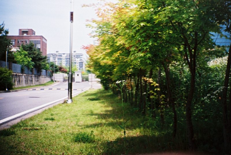 mod_000017.JPG