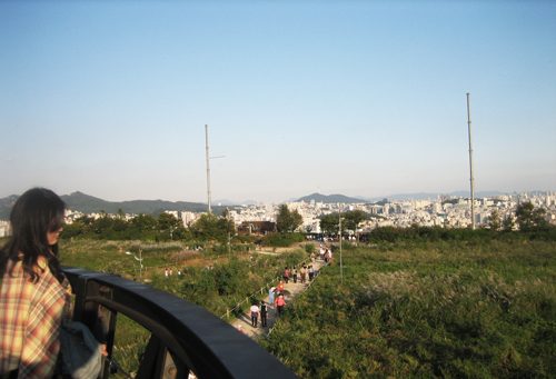 IMG_5534.jpg