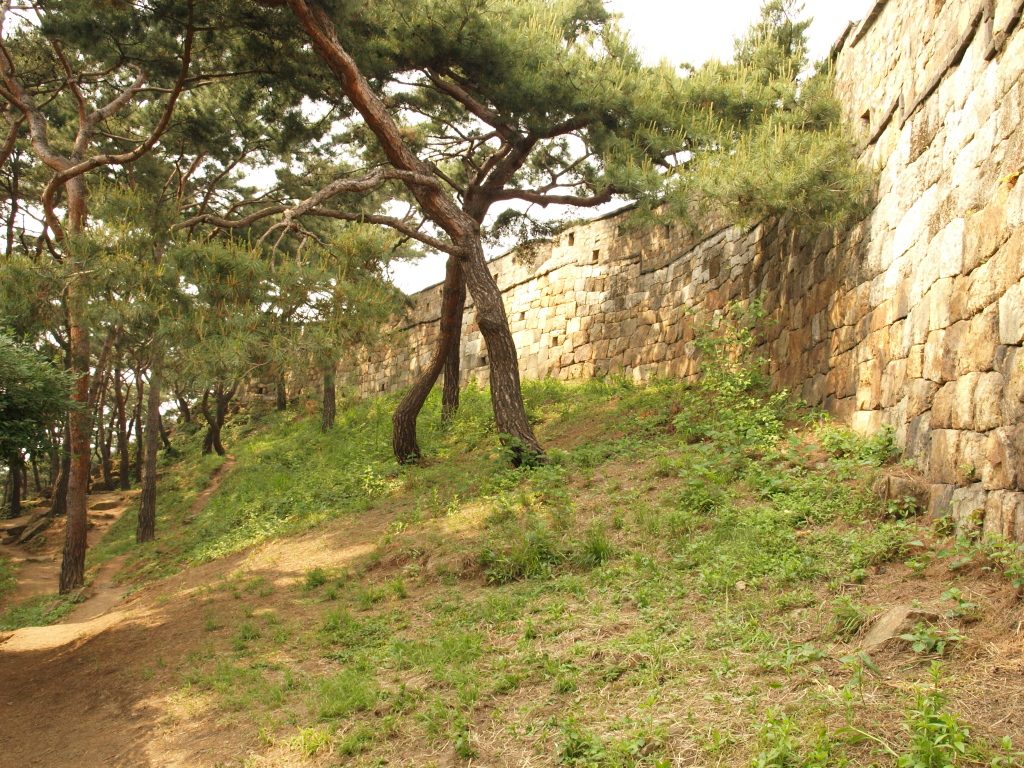 P5242553.jpg
