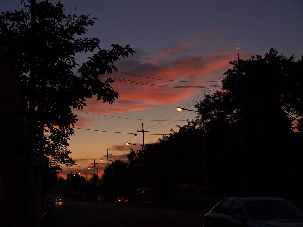 P8200008o.JPG