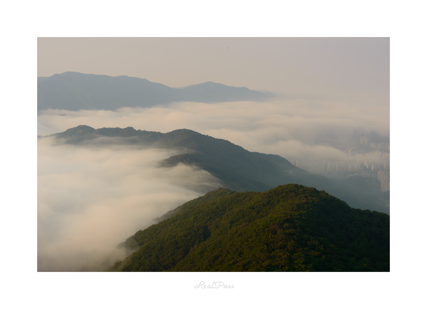 DSC_4716.png