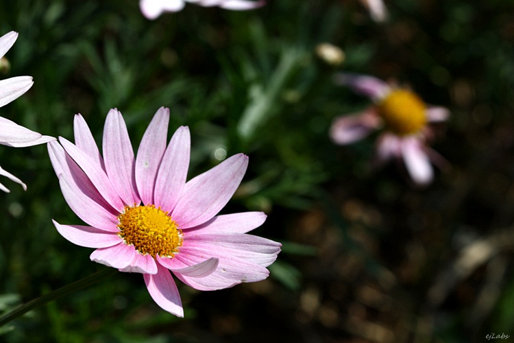 img_6241.jpg