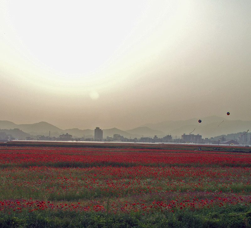 P1011842.JPG