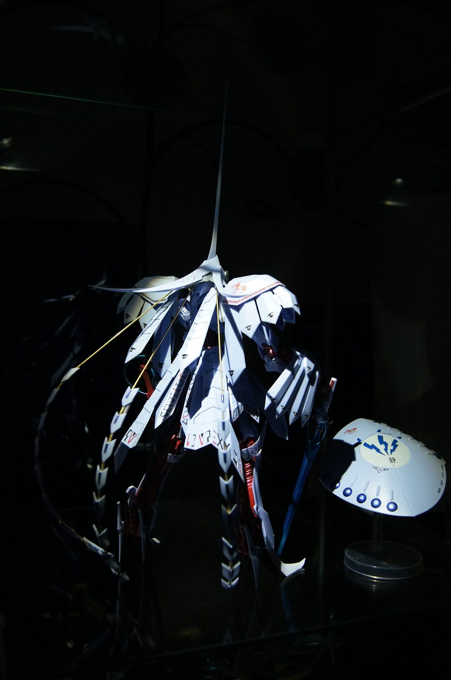 71755_3.jpg