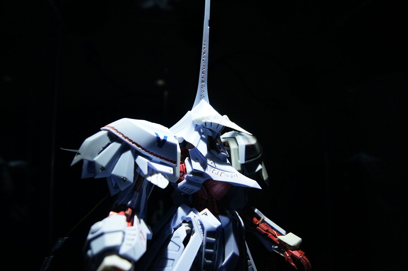 71755_4.jpg