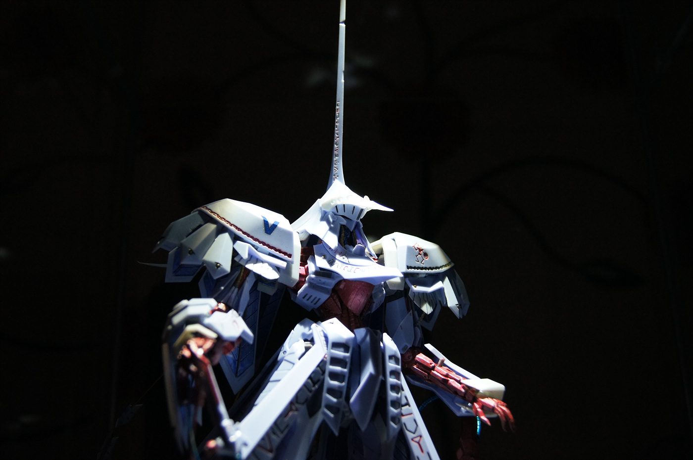 71755_5.jpg