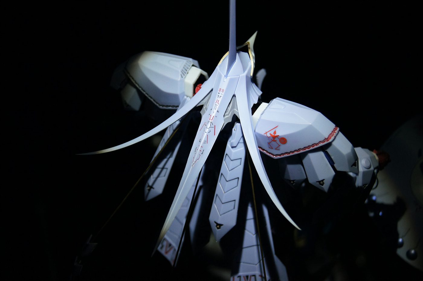 71755_8.jpg