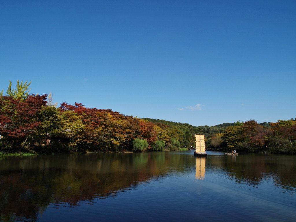 PA183180.jpg