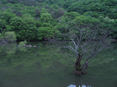 주산지1.jpg