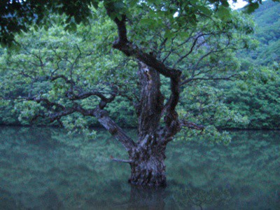주산지2.jpg
