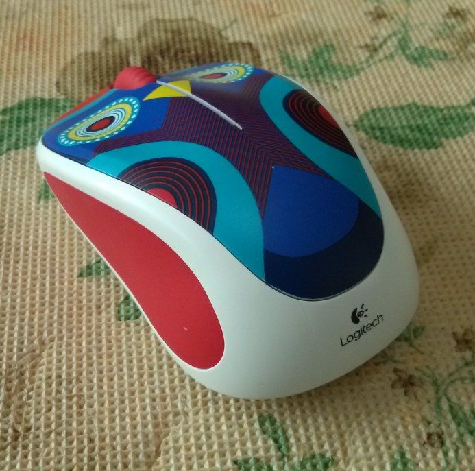z5.jpg