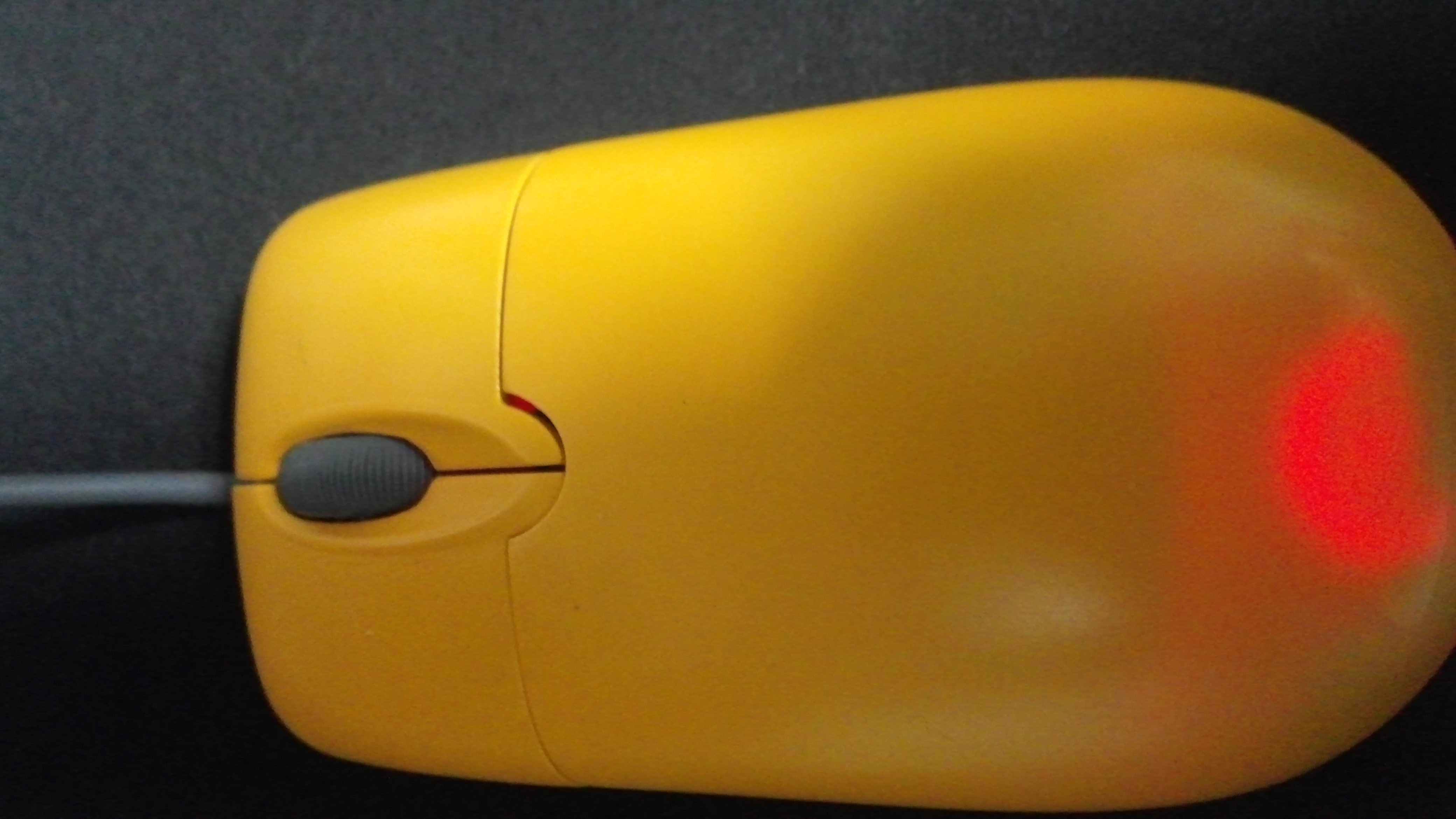 h 620.jpg